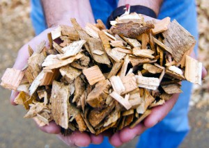 Woodchip biomass